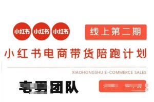 小红书电商带货课2期,月利润20个的小红书电商的有货源,无货源,虚拟产品,付费投流等整套玩法-湘创网