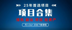 实操项目合集 挂机类型 直播类型 轻资产创业类型 课程分享各项目介绍和原理-湘创网