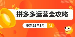 (14184期)拼多多运营全攻略:从0到日销千单,爆款内功+付费推广+黑科技(更新25年3月)-湘创网