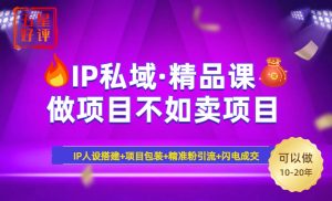 (14406期)2025年“IP私域·密训精品课”,日赚3000+小白避坑年赚百万,暴力引流...-湘创网