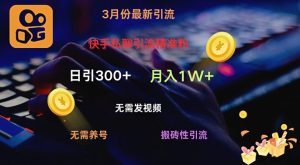 快手私聊引流精准粉,当天见效无需发视频搬砖引流法日引300+-湘创网