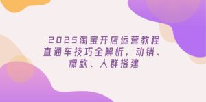 (14389期)2025淘宝开店运营教程更新,直通车技巧全解析,动销、爆款、人群搭建-湘创网