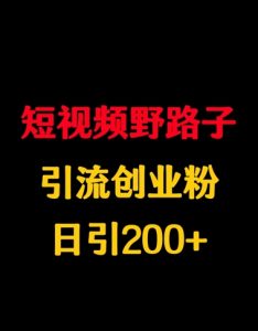 短视频野路子引流创业粉,日引200+-湘创网