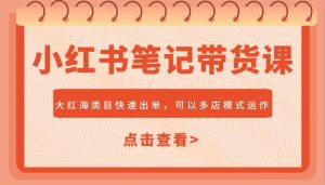 小红书笔记带货课,大红海类目快速出单,市场大,可以多店模式运作-湘创网
