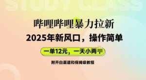 哔哩哔哩暴力拉新：2025年新风口，一单12元，一天数张(附开白渠道和保姆级教程)-湘创网