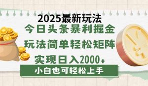 (14120期)今日头条2025最新玩法,思路简单,复制粘贴,轻松实现矩阵日入2000+-湘创网