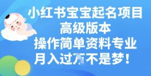 小红书宝宝起名项目高级版本,操作简单,资料专业,月入过W-湘创网