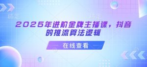 2025年进阶金牌主播课,抖音的推流算法逻辑-湘创网