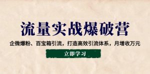 (14039期)流量实战爆破营:企微爆粉、百宝箱引流,打造高效引流体系,月增收万元-湘创网