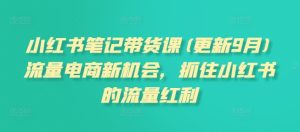 小红书笔记带货课(更新25年3月)流量电商新机会,抓住小红书的流量红利-湘创网