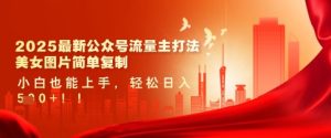 2025最新公众号流量主打法，美女图片简单复制，小白也能上手，轻松日入5张-湘创网