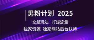 男粉计划2025  全新玩法打爆流量 独立网站 独立资源后台扶持-湘创网