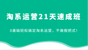 淘系运营21天速成班,0基础轻松搞定淘系运营,不做假把式!(更新)-湘创网