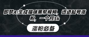 即梦AI生成猫咪黑帮视频,迅速起号涨粉,一个月5k-湘创网