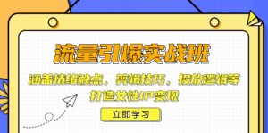 (14008期)流量引爆实战班,涵盖情绪触点,剪辑技巧,投放逻辑等,打造女性IP变现-湘创网