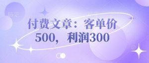 付费文章：客单价500，利润300-湘创网