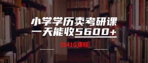 (14561期)小学学历卖考研课程,一天收5600(附3580G考研合集)-湘创网