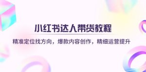 (14142期)小红书达人带货教程:精准定位找方向,爆款内容创作,精细运营提升-湘创网