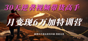 2025视频带货30天逆袭视频带货高手,单月变现6万加特训营-湘创网