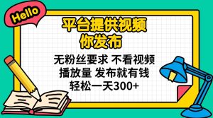(14171期)平台提供视频 你发布 无粉丝要求 不看视频播放量 发布就有钱 轻松一天300+-湘创网