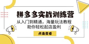 (14392期)拼多多实战训练营,从入门到精通,海量玩法教程,助你轻松起店盈利-湘创网