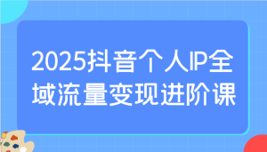 2025抖音个人IP全域流量变现进阶课:选爆品、抖音付费投流、千川投流实操及优化等-湘创网