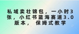 私域卖壮锦包,一小时3张,小红书蓝海赛道3.0版本, 保姆式教学-湘创网