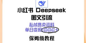 小红书Deepseek图文引流，私域售卖资料，单日变现多张，保姆级教程-湘创网