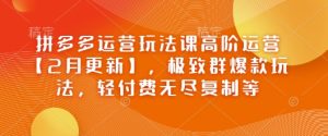 拼多多运营玩法课高阶运营【2月更新】,极致群爆款玩法,轻付费无尽复制等-湘创网