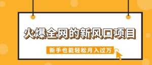 火爆全网的新风口项目,借助人工智能AI算命,精准预测命运,新手也能轻松月入过W-湘创网