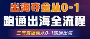 2025出海夺金从0-1跑通出海全流程,三节直播课从0-1跑通出海,教你用AI跑通全流程-湘创网