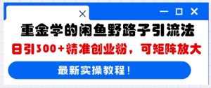 重金学的闲鱼野路子引流法,日引300+精准创业粉,可矩阵放大-湘创网