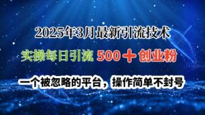 2025年3月最新引流技术,实操每日引流500+创业粉,一个被忽略的平台,操作简单不封号-湘创网