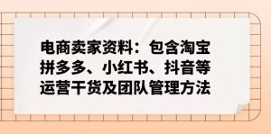 (14354期)电商卖家资料:包含淘宝、拼多多、小红书、抖音等运营干货及团队管理方法-湘创网
