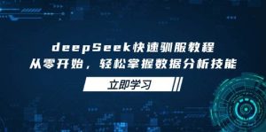 deepSeek快速驯服教程，从零开始，轻松掌握数据分析技能-湘创网