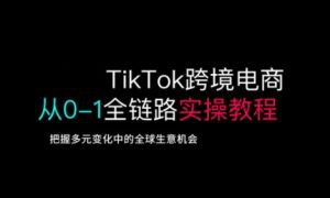 TikTok跨境电商从0-1全链路全方位实操教程,把握多元变化中的全球生意机会-湘创网