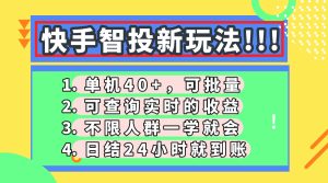 (14372期)快手智投新玩法,单机日入40+,可批量,可查询实时收益,收益日结24小...-湘创网