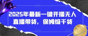 2025年最新一键开播无人直播带货,保姆级干货-湘创网