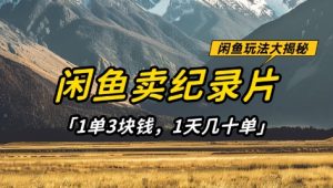 闲鱼卖纪录片1单3块钱,1天几十单,项目稳定有潜力-湘创网