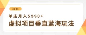 虚拟产品垂直变现方案,单账号月入5000+实操指南-湘创网