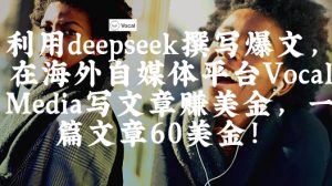 出海搞钱!利用deepseek撰写爆文,在海外自媒体平台Vocal Media写文章挣美金,一篇文章60刀-湘创网