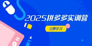 (14531期)2025拼多多实训营:深度剖析运营关键,助力电商人快速提升-湘创网