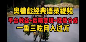奥德彪经典语录做好一条视频分发全平台,平台收益+后端变现+挂载程序,一鱼三吃多重变现-湘创网