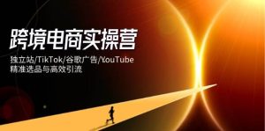 跨境电商实操营：独立站/TikTok/谷歌广告/YouTube，精准选品与高效引流-湘创网