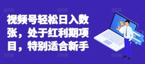 视频号轻松日入数张,处于红利期项目,特别适合新手-湘创网