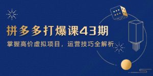 (14546期)拼多多打爆课第 43 期,掌握高价虚拟项目,运营技巧全解析(15节)-湘创网