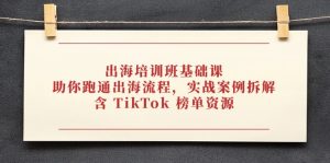 (14555期)出海培训班基础课,助你跑通出海流程,实战案例拆解,含 TikTok 榜单资源-湘创网