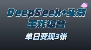 2025年DeepSeek+头条王炸组合,单日变现3张-湘创网