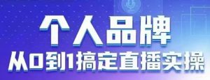 个人品牌:从0到1搞定直播实操,用直播为你的个人品牌赋能,六大实操板块,放大个人影响力-湘创网