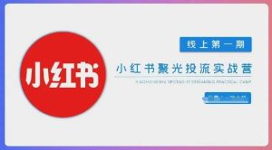 小红书聚光陪跑第一期,教你从0到1玩转小红书聚光投流,搭建小红书付费投流团队,更快的见到效果-湘创网